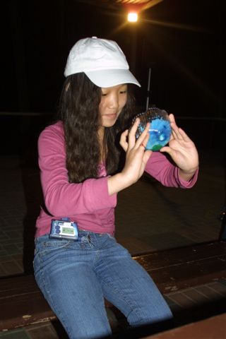 foto_11